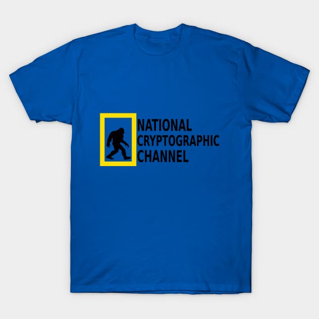 National Cryptographic Channel T-Shirt by ImNotThere